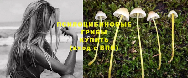 метадон Арсеньев